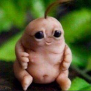 puzan